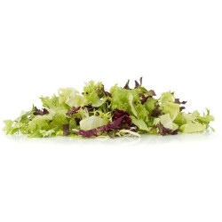 SALADE FRUDIMIX COUPEE FIN ALLGRO 500G